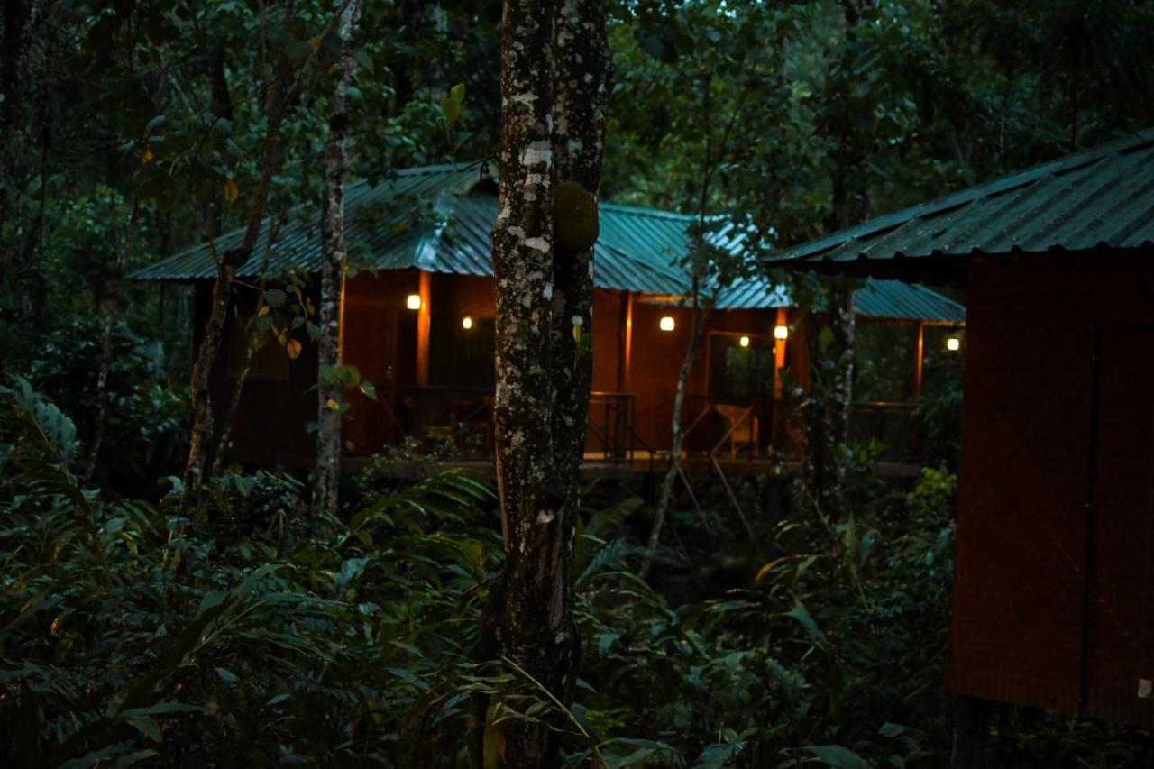 Monsoon Retreats Ecostay- Treehouse Теккаді Екстер'єр фото