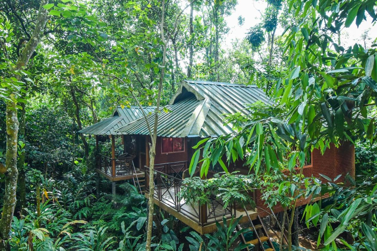 Monsoon Retreats Ecostay- Treehouse Теккаді Екстер'єр фото