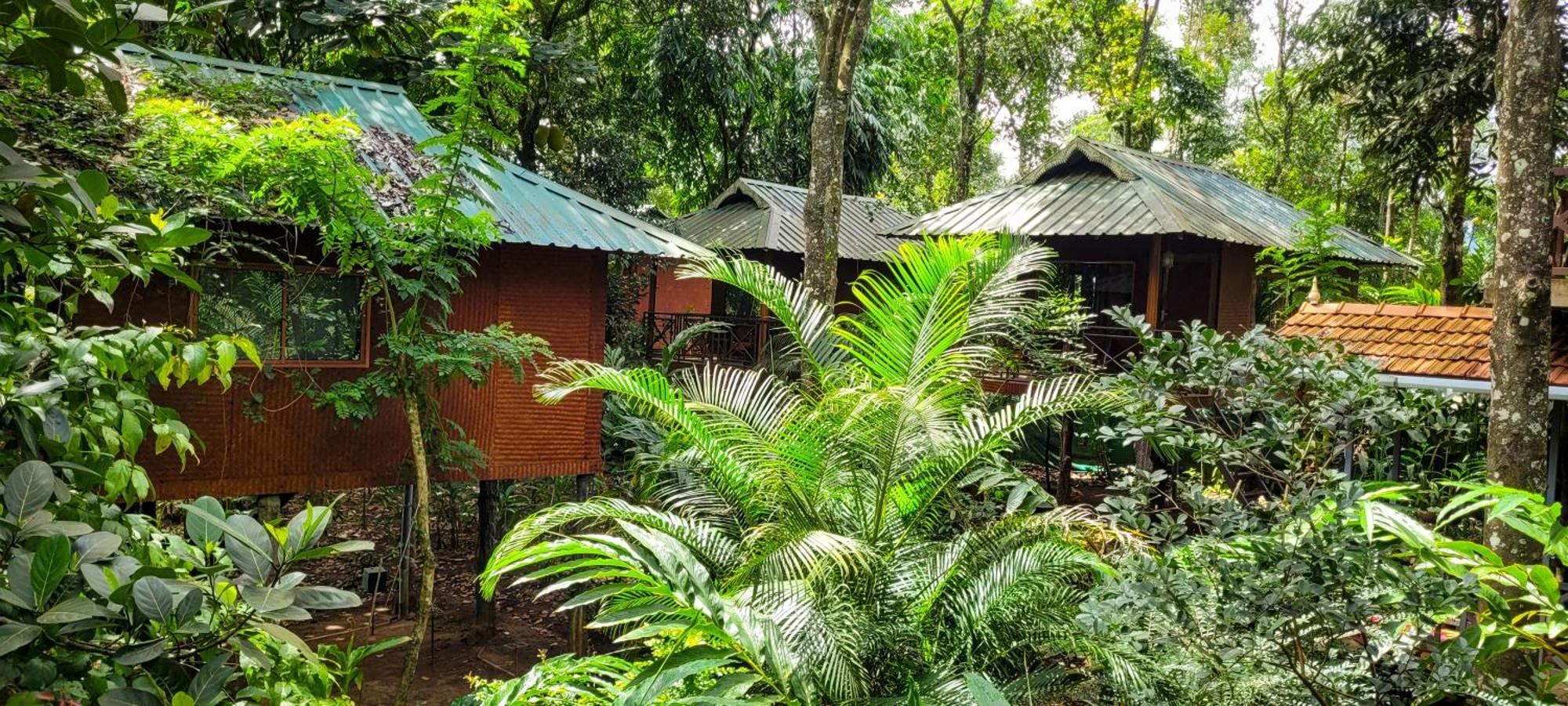 Monsoon Retreats Ecostay- Treehouse Теккаді Екстер'єр фото