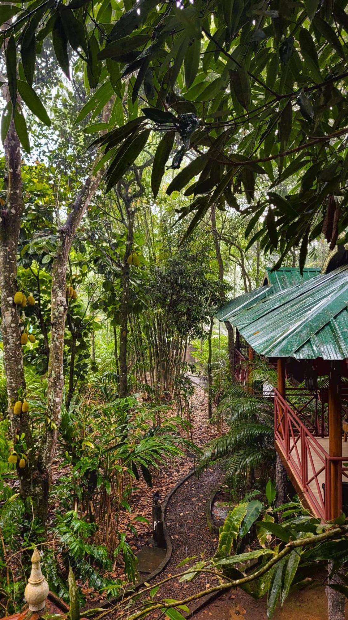Monsoon Retreats Ecostay- Treehouse Теккаді Екстер'єр фото