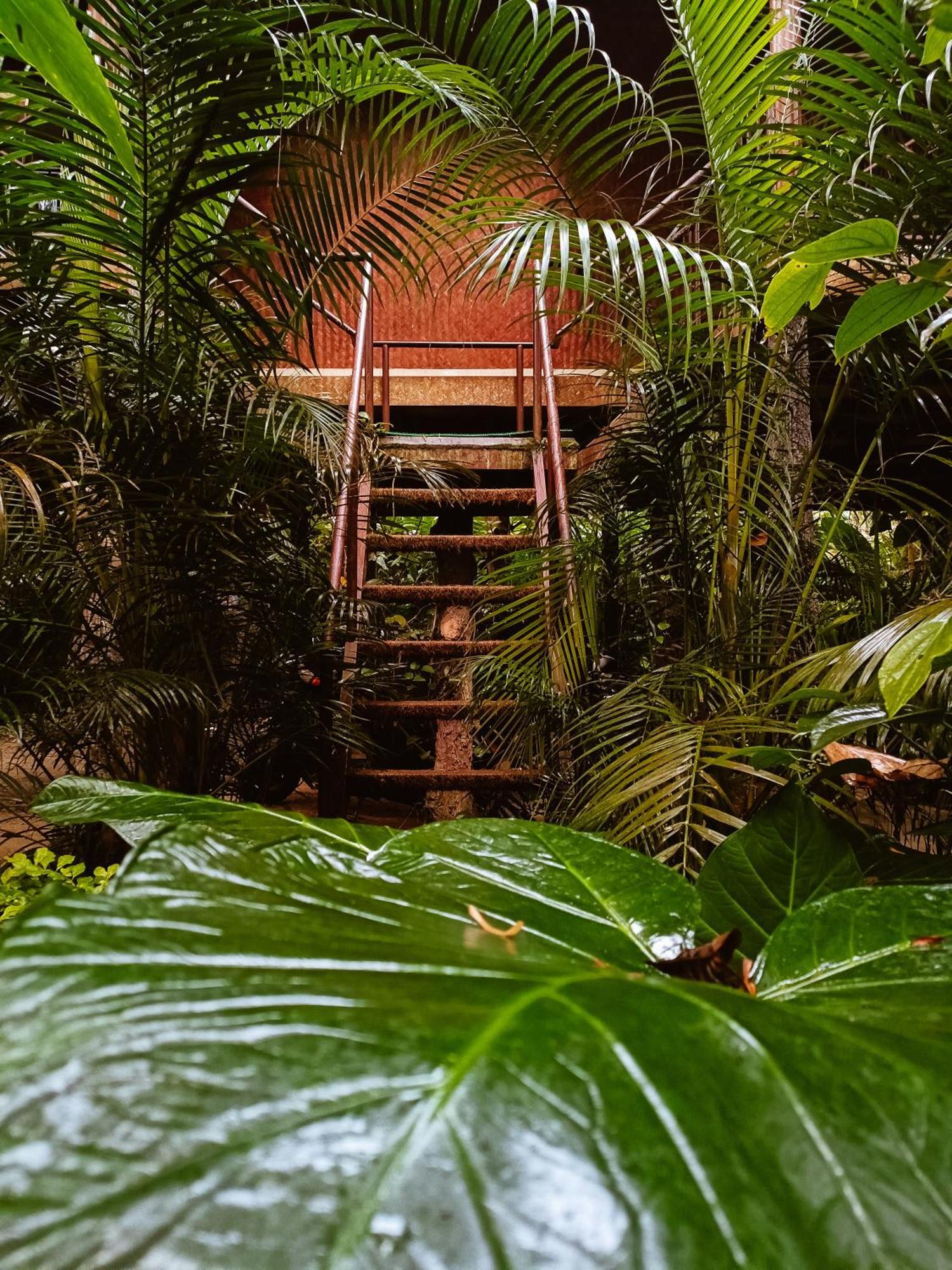 Monsoon Retreats Ecostay- Treehouse Теккаді Номер фото