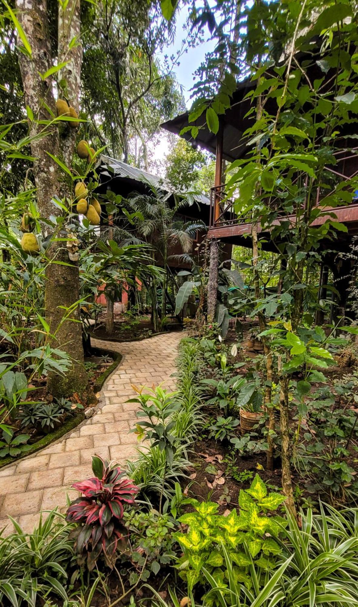 Monsoon Retreats Ecostay- Treehouse Теккаді Екстер'єр фото