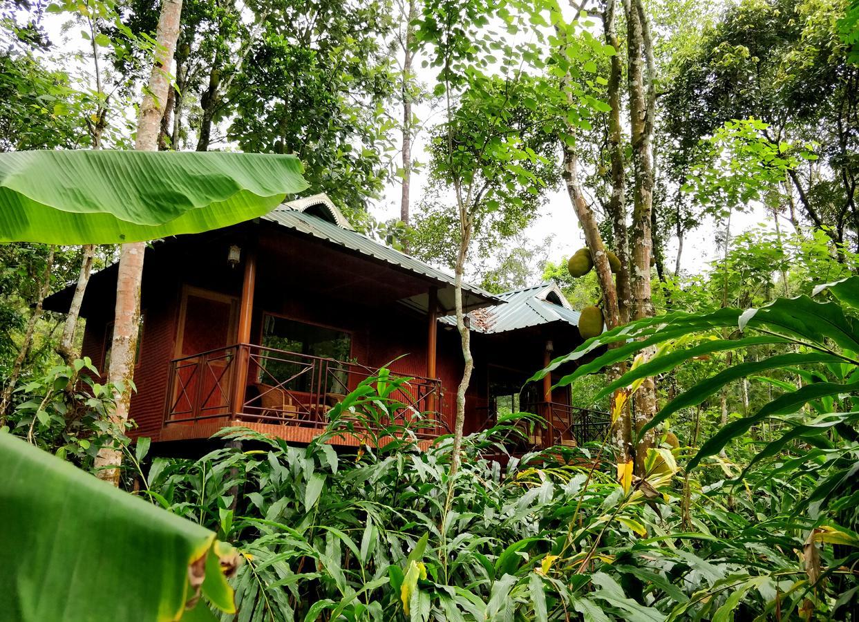 Monsoon Retreats Ecostay- Treehouse Теккаді Екстер'єр фото