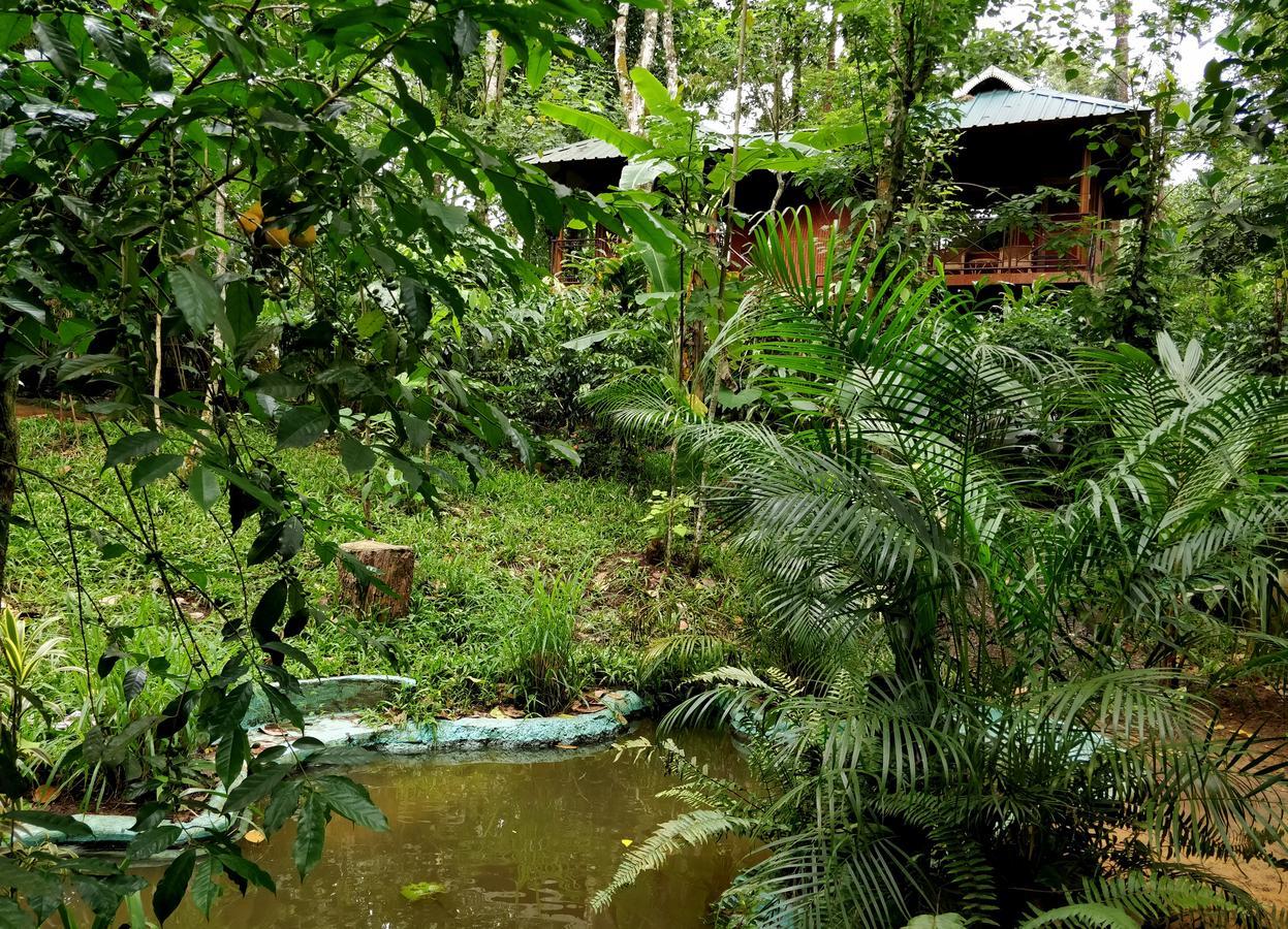Monsoon Retreats Ecostay- Treehouse Теккаді Екстер'єр фото