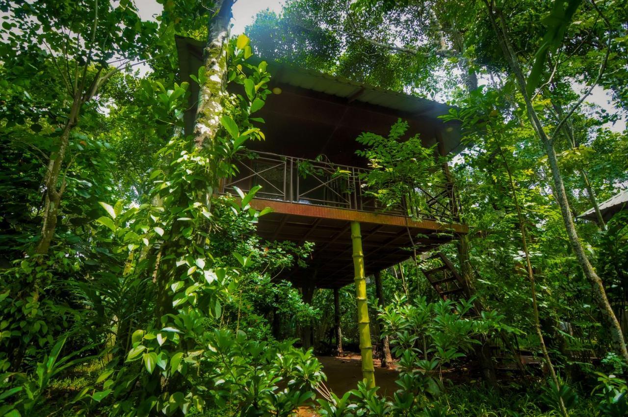 Monsoon Retreats Ecostay- Treehouse Теккаді Екстер'єр фото