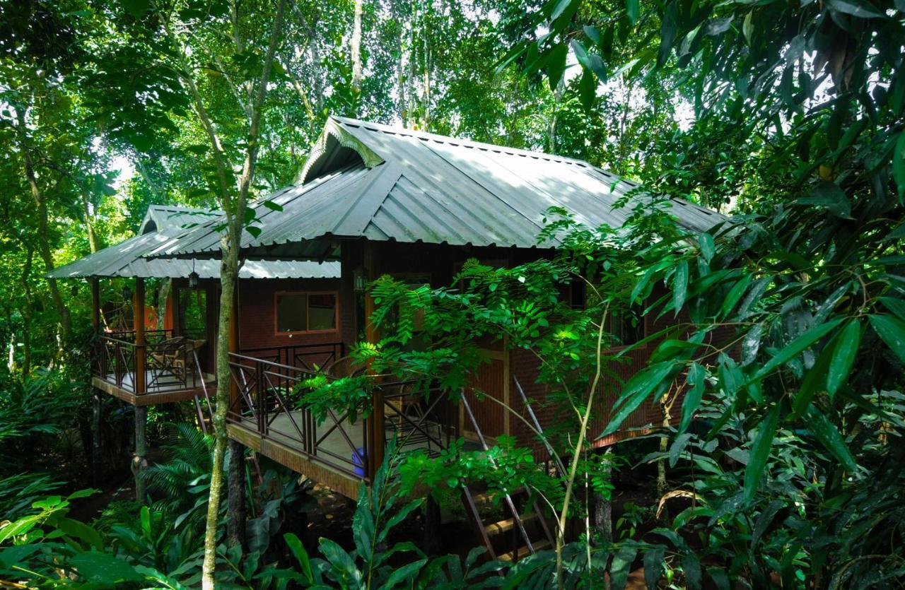 Monsoon Retreats Ecostay- Treehouse Теккаді Екстер'єр фото