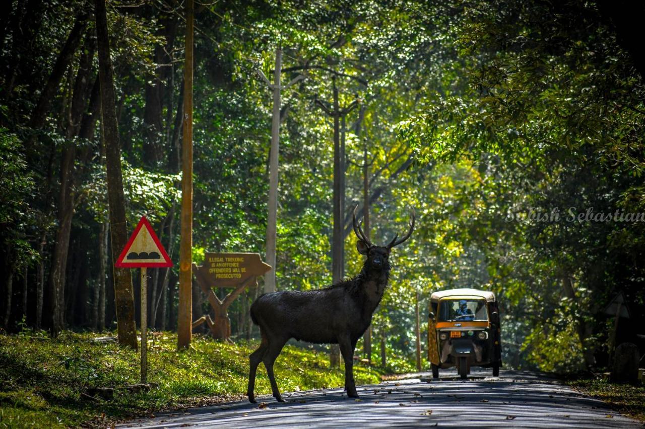 Monsoon Retreats Ecostay- Treehouse Теккаді Екстер'єр фото